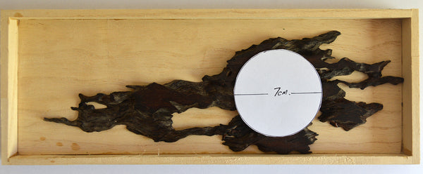 Display Board - Jita 29.5x10x0.4cm