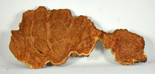 Display Board - Jita