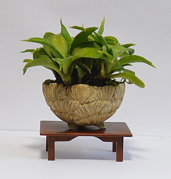 Bonsai Stand - Hardwood Range 11x8x3.5cm