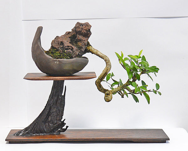 Bonsai Stand - Hardwood Range 30.3x8.8x12.4 cm
