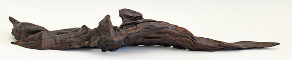 Old Acacia Bush Wood Sculpture