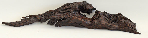 Old Acacia Bush Wood Sculpture