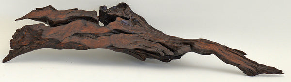 Old Acacia Bush Wood Sculpture