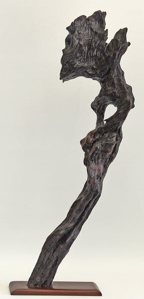 Old Bush Wood Sculpture