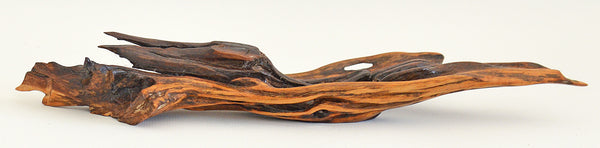 Old Bush Wood Sculpture