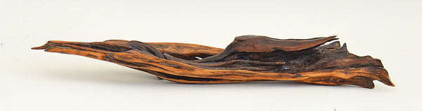 Old Bush Wood Sculpture