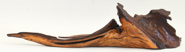 Old Acacia Bush Wood Sculpture