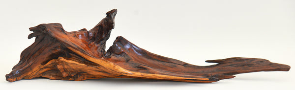 Old Acacia Bush Wood Sculpture