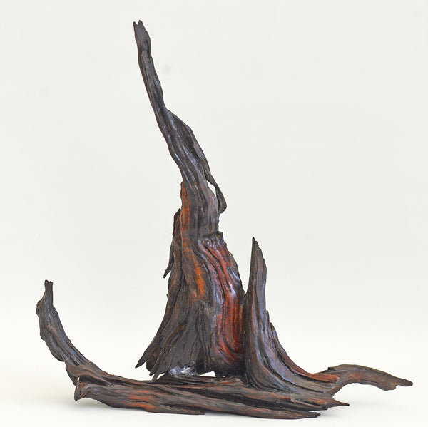 Old Acacia Bush Wood Sculpture