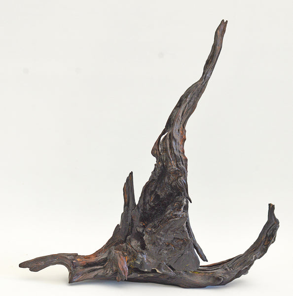 Old Acacia Bush Wood Sculpture
