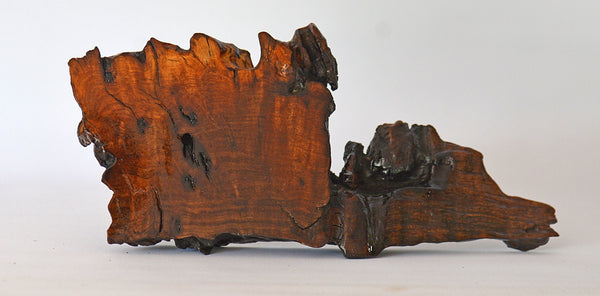 Bonsai Stand - Hardwood Range
