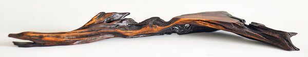 Old Acacia Bush Wood Sculpture